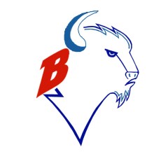 New Bisons logo concept